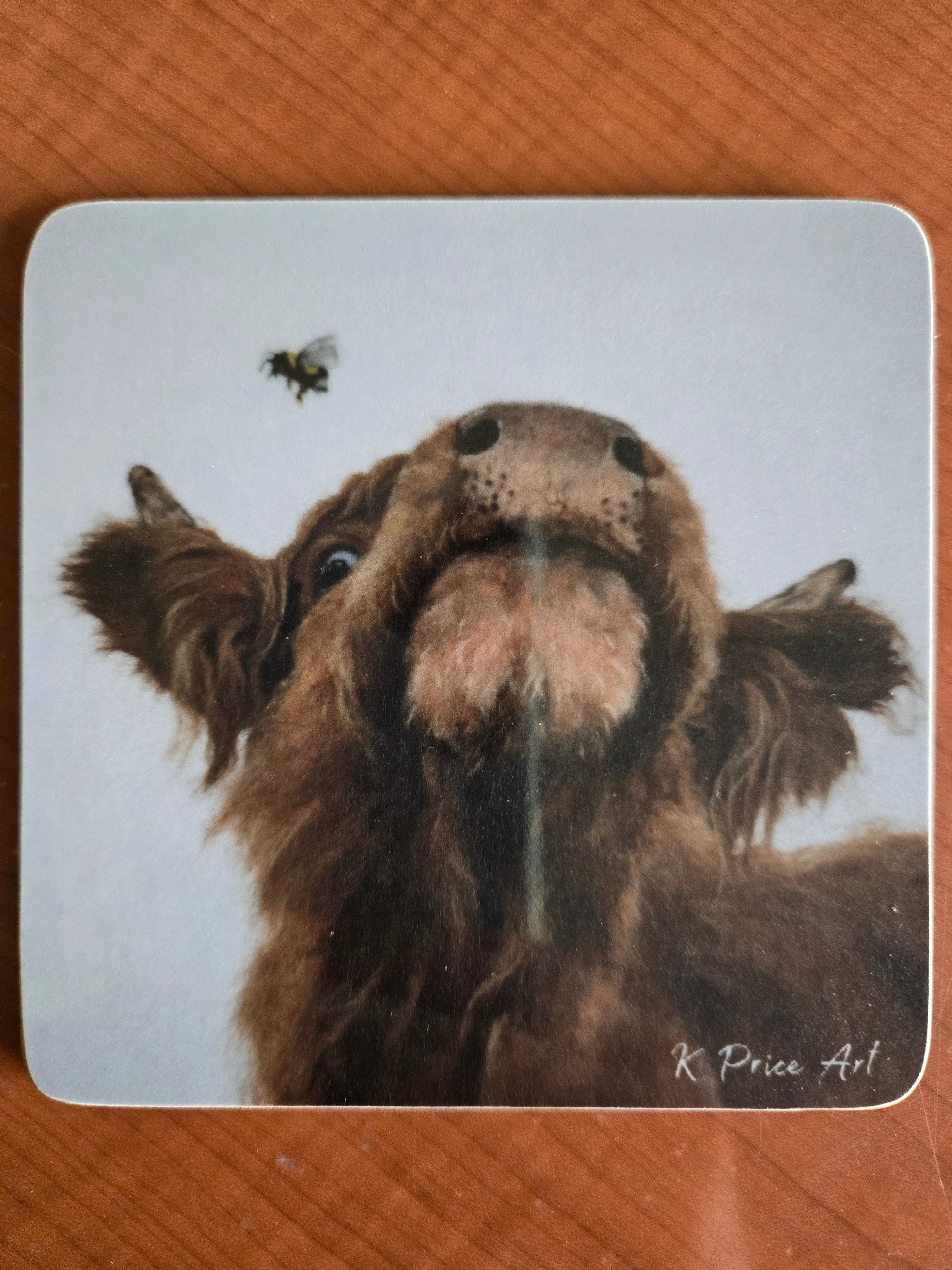 Bee Friends Coaster | Scottish Creations