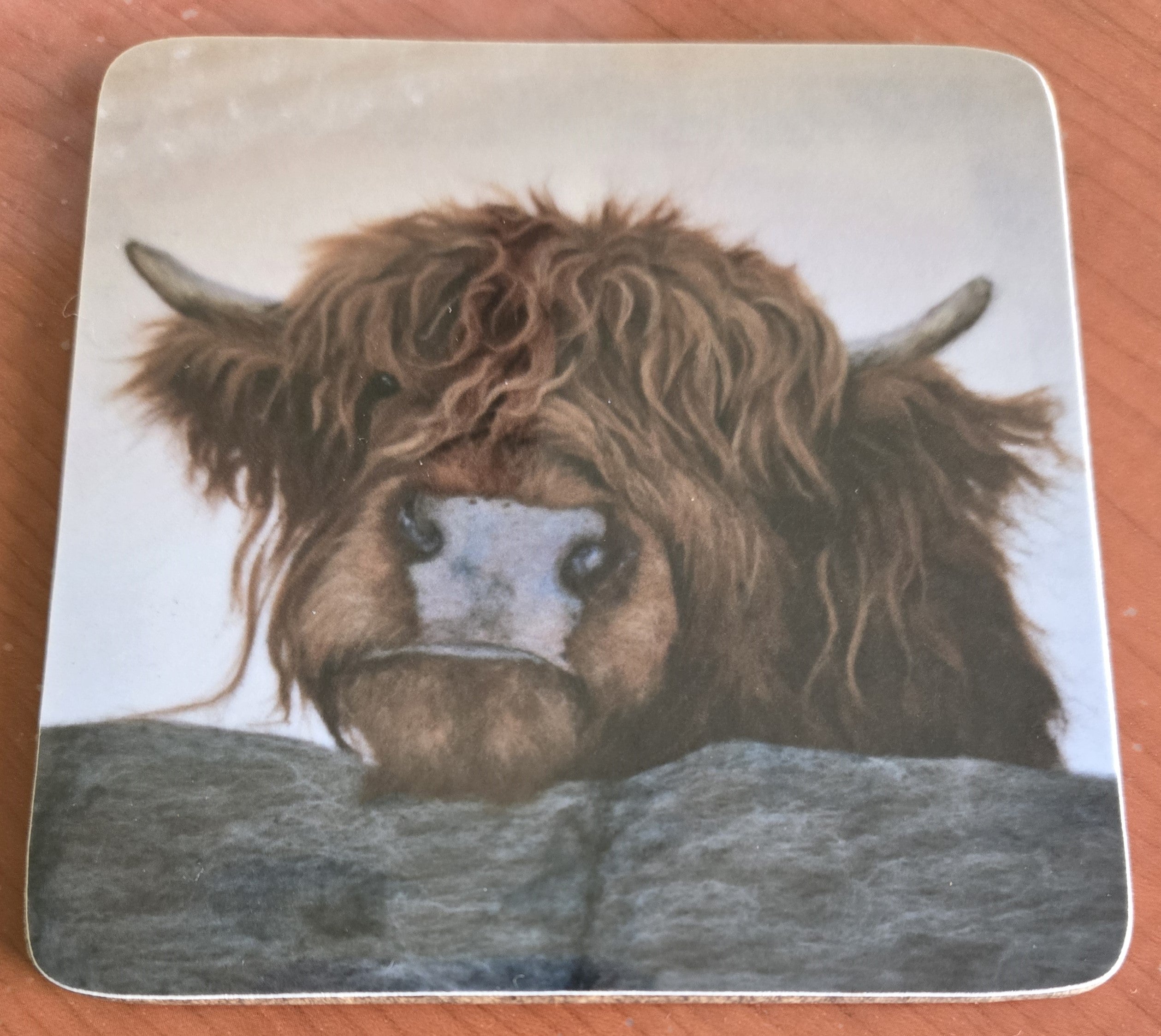 Hey Pal Melamine Coaster | Scottish Creations