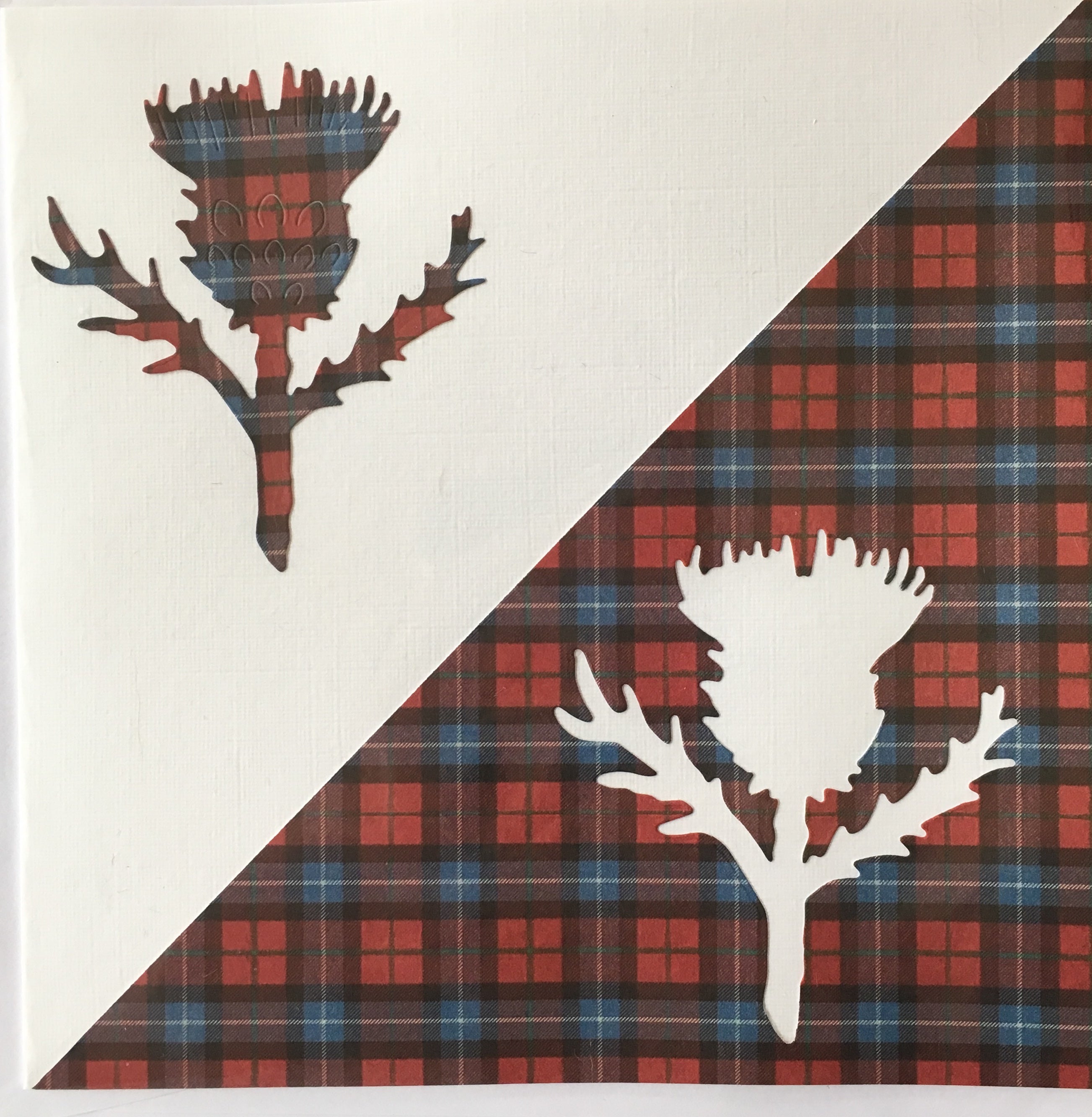 Blue & Red Thistle Card | Roseneath Studios | Scottish Creations