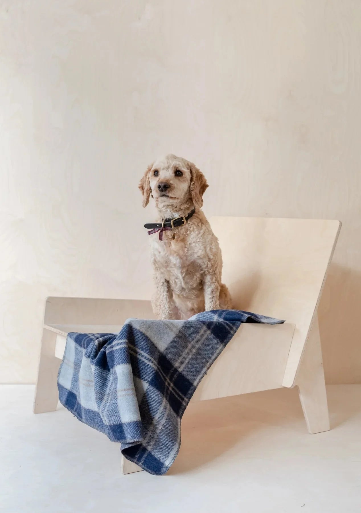 Recycled Wool Pet Blanket in Bannockbane Silver Tartan | Scottish Creations