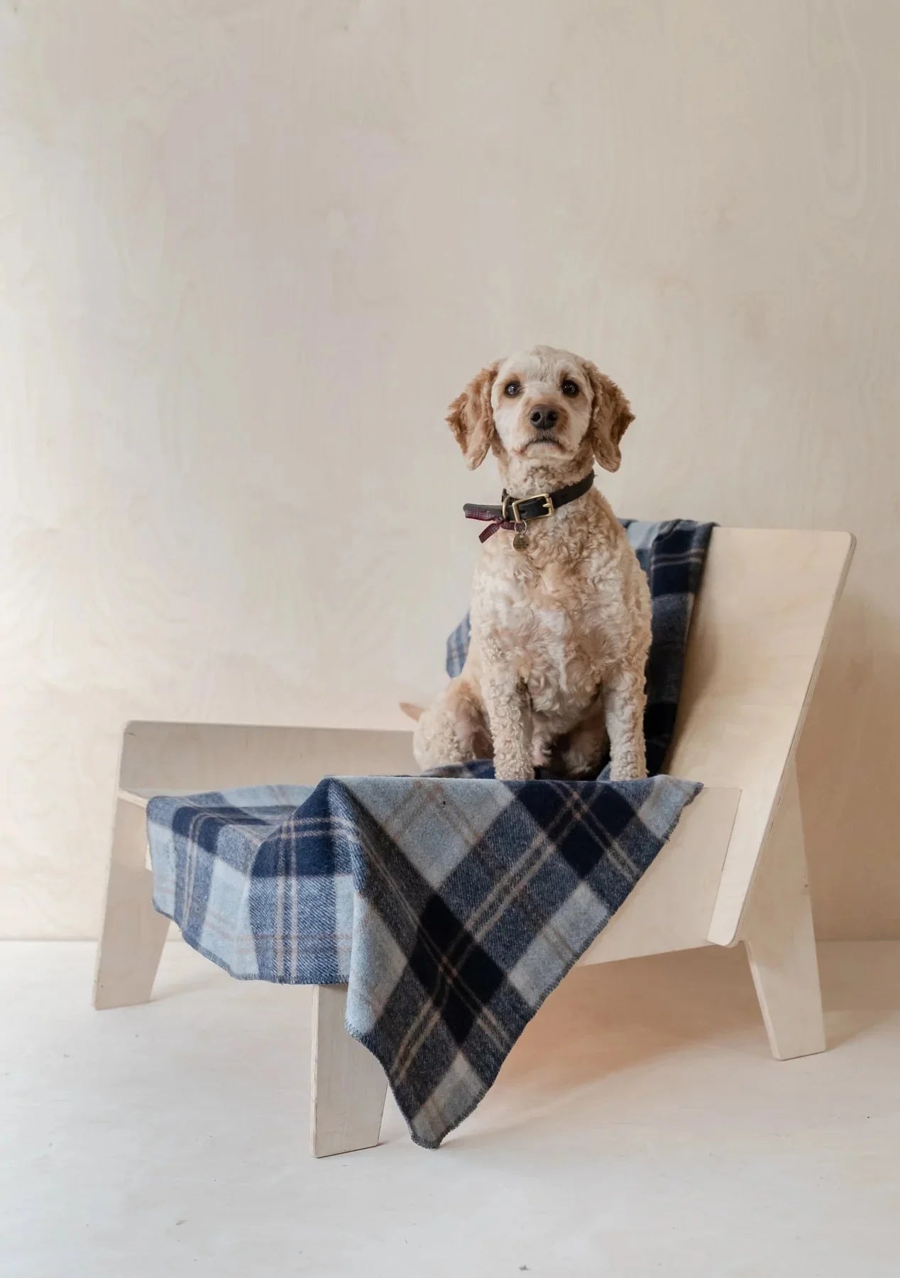 Recycled Wool Pet Blanket in Bannockbane Silver Tartan | Scottish Creations