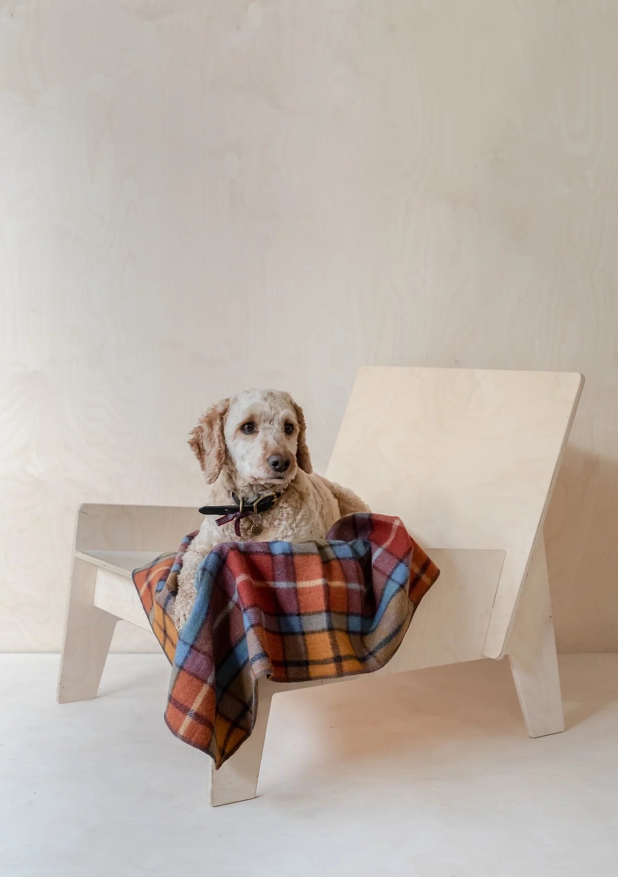 Recycled Wool Pet Blanket in Buchannan Antique Tartan | TBCo | Scottish Creations