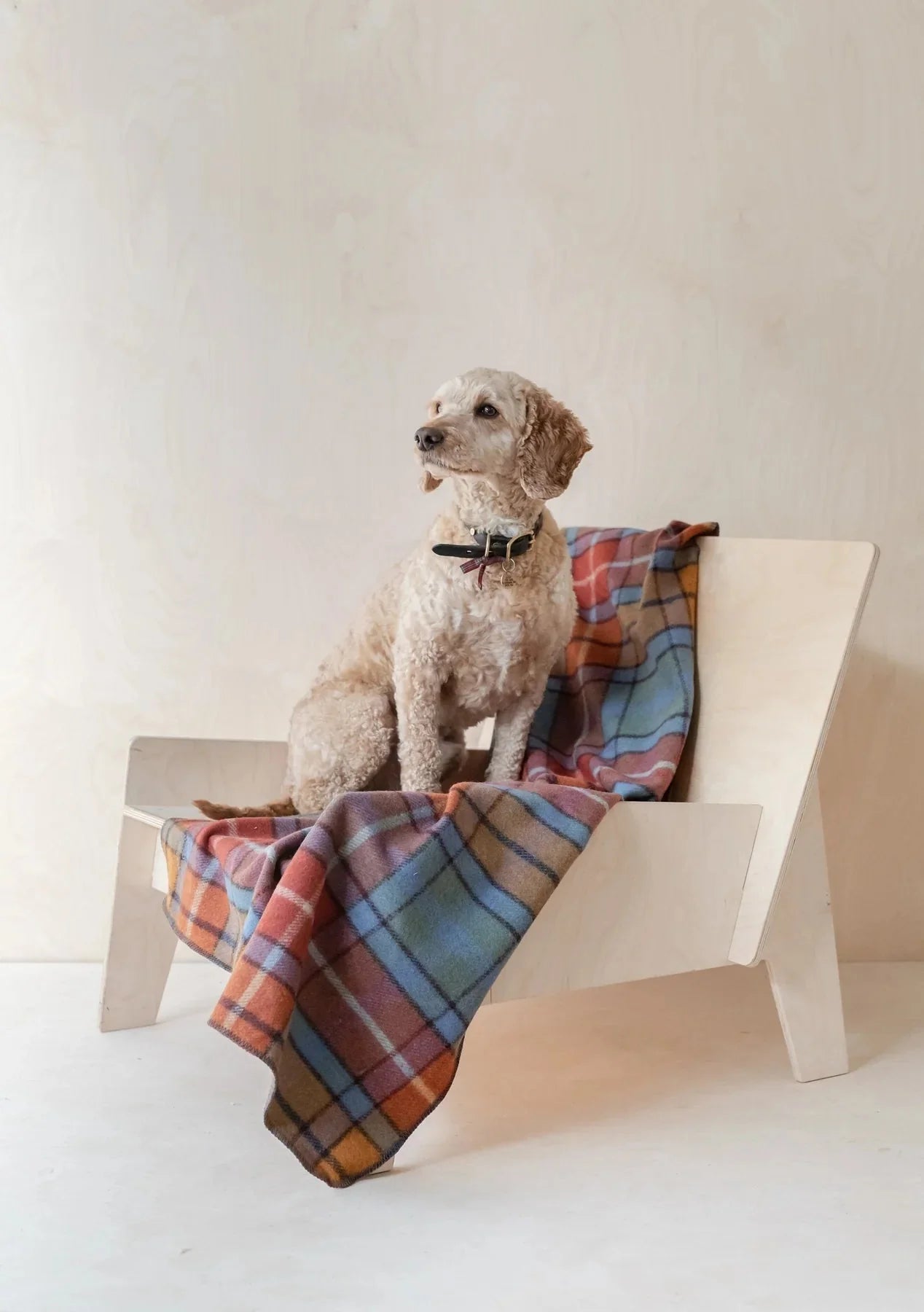 Recycled Wool Pet Blanket in Buchannan Antique Tartan | Scottish Creations