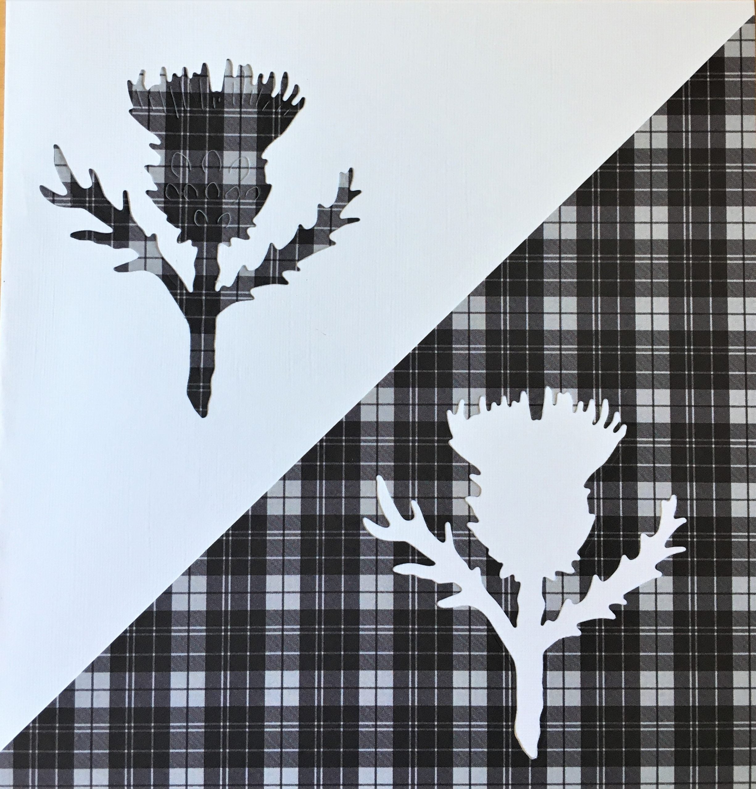 Scottish Thistle on Black & White Tartan Card | Roseneath Studios | Scottish Creations