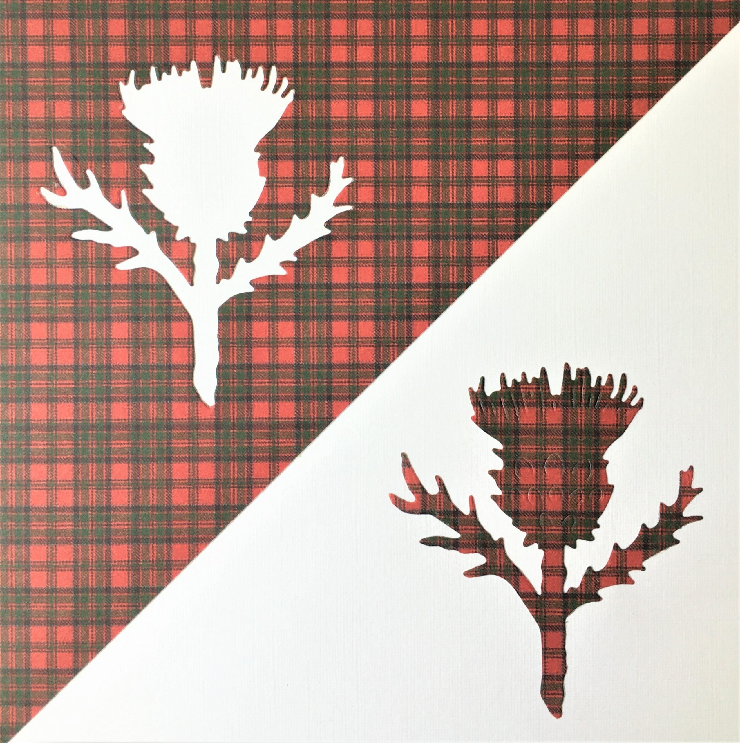 Scottish Thistles on Red Tartan Card | Roseneath Studios | Scottish Creations