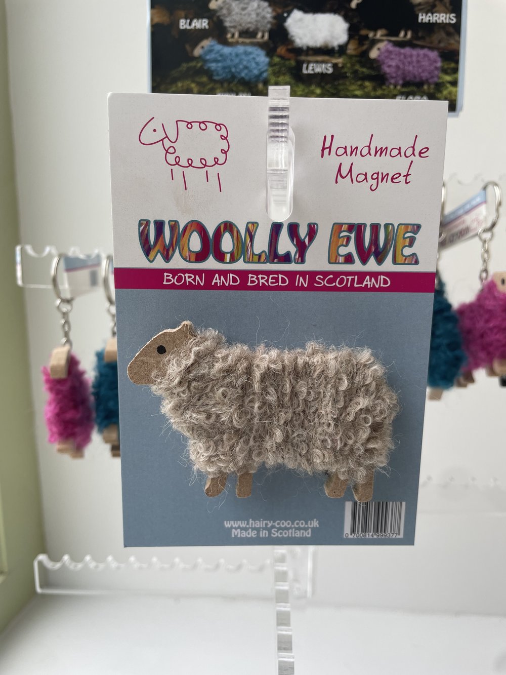 Woolly Ewe Magnet | Hairy Coo | Scottish Creations